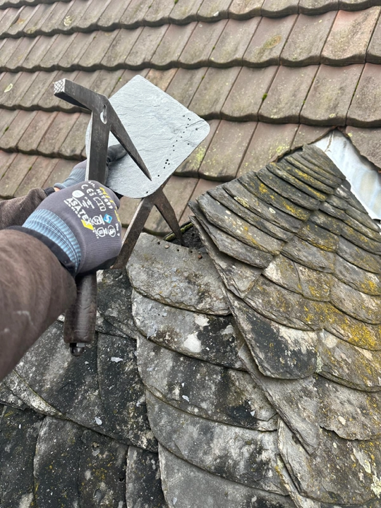 Dachsanierung & Reparatur