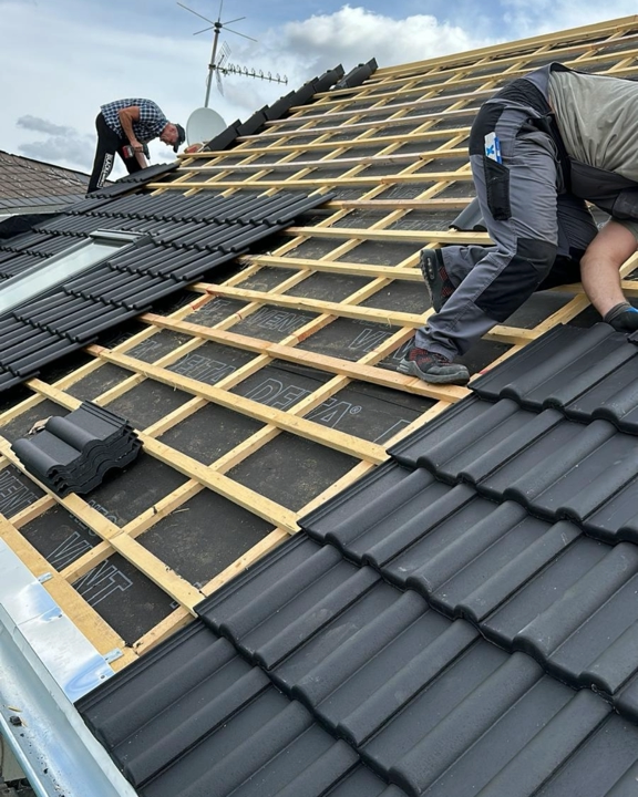 Dämmung & Energieeffizienz