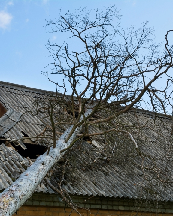 Sturmschäden & Hagelschäden